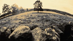 Black and White Mastery in Adobe Lightroom