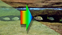 Colour fundamentals for photo editing