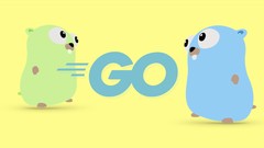 Go (Golang): The Complete Bootcamp [Updated: December 2021]