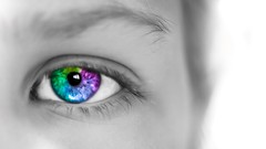 Mastering Adobe Lightroom: Complete Photo/Image Editing