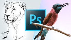 Learn How to Draw and Paint in Photoshop