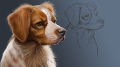 Digital Art : Painting A Pet Portrait