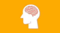 Artificial Intelligence for Pragmatic Business Solutions