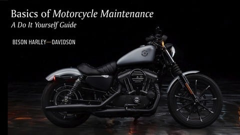 Bison Harley-Davidson