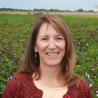 Beth Mosolgo-Clark Image