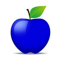 BlueApple Courses
