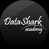 DataShark Academy Image