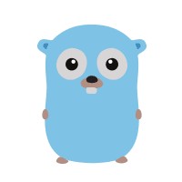 Golang Zone Image