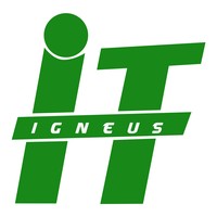 Igneus Technologies Image