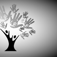 Knowledge Aacademy Image