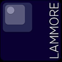 Lammore Consulting Image
