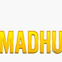 Madhu S Image
