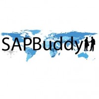 SAP Buddy Image