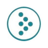 Skeyon Formación