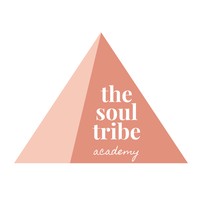 Soul Tribe Academy Image