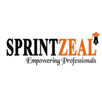 Sprintzeal Americas Inc. Image