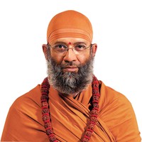 Swami Vidyadhishananda Giri Image
