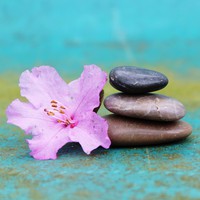 The Zen Zone Image