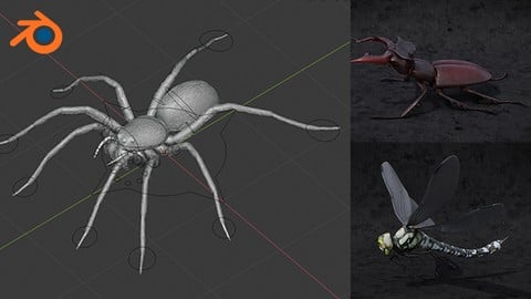 Blender 2.81 - Spiders and insects creation from scratch