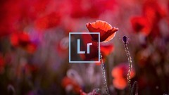 Adobe Lightroom for Beginners