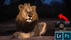 Advanced Lightroom & Photoshop CC for Wildlife Photography