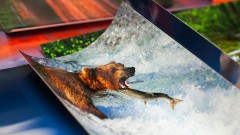 Mastering Lightroom for Outdoor and Nature Photographers