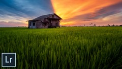 Mastering Landscape Editing Using Lightroom
