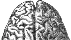 Artificial Intelligence: All you really need to know