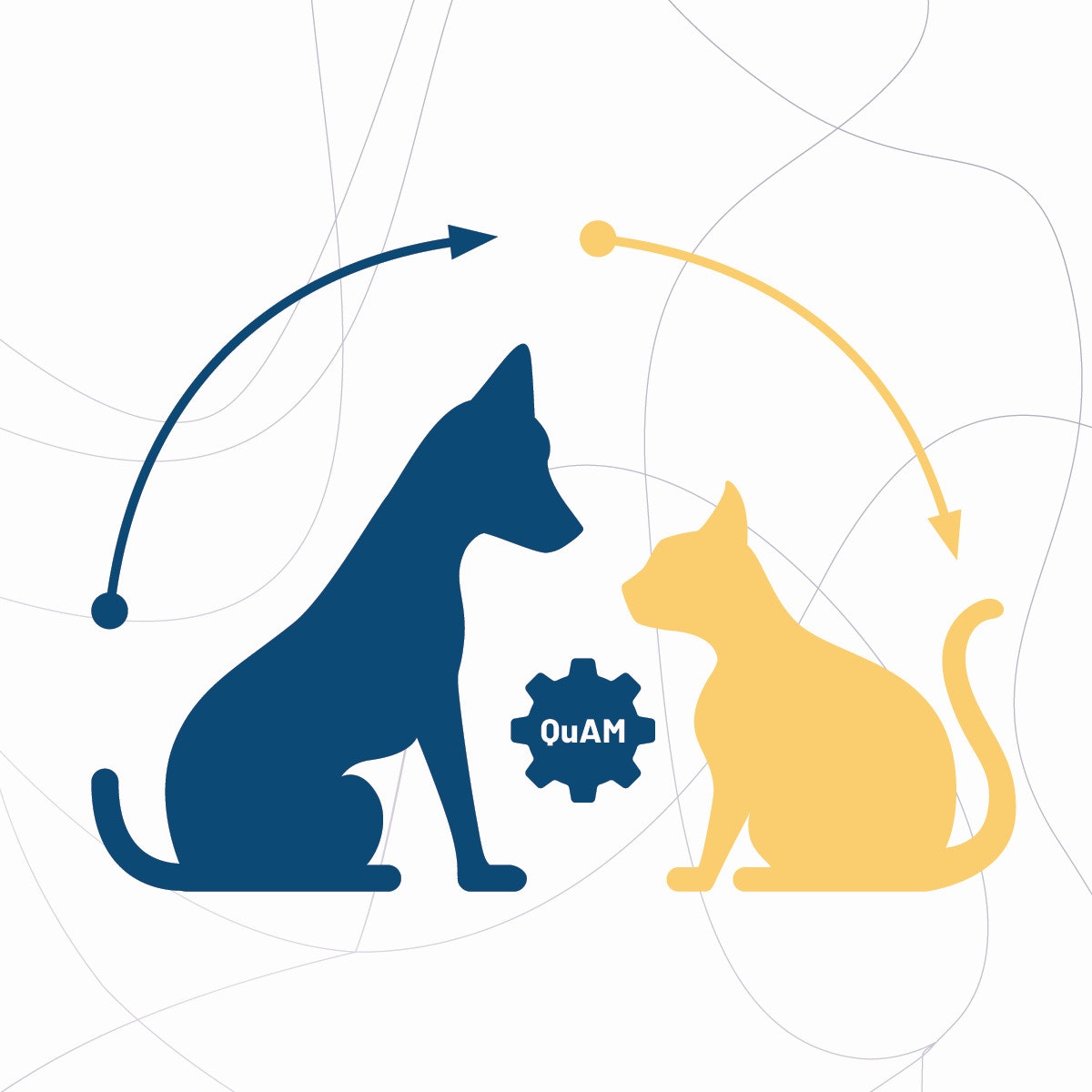 Machine Learning Algorithms: Supervised Learning Tip to Tail