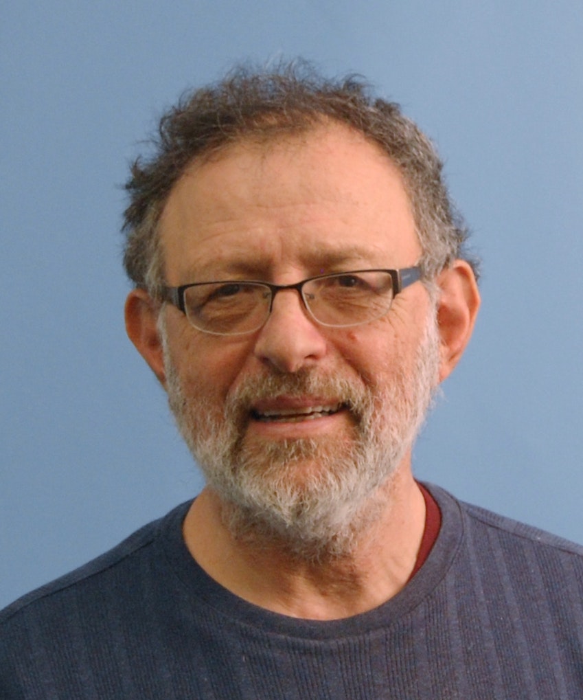 Ira Pohl Image