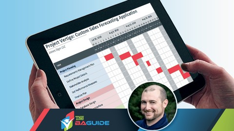 Plan the Project as a Business Analyst