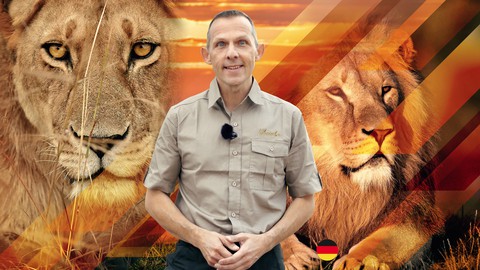 Change-Management - Führe wie ein Löwe durch Veränderungen