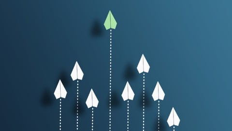 Change Management for Executives, Leaders, and Project Mgrs.