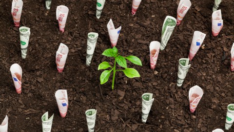 Accelerating Sustainable Action In Business