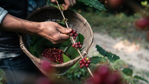 ISO 26000: Social Responsibility, CSR & Sustainability