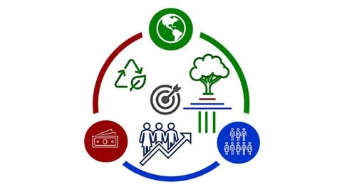 Winning Strategies in Corporate Sustainability & ESG [2026]