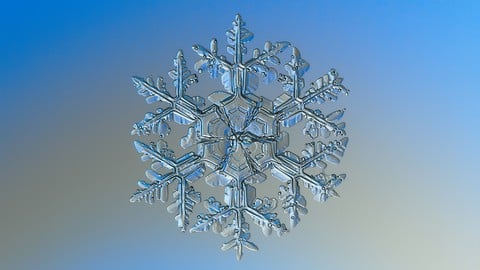 Snowflake - Build & Architect Data pipelines using AWS