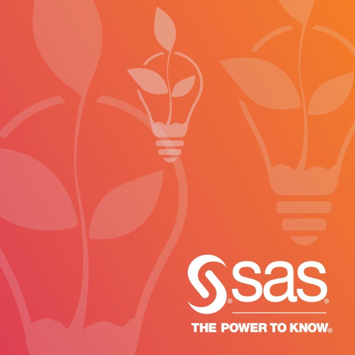 Doing More with SAS Programming