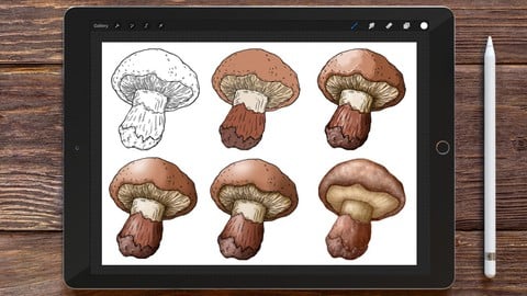 Digital Painting in Procreate for Beginners
