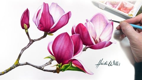 Paint Realistic Watercolour and Botanicals - MAGNOLIAS