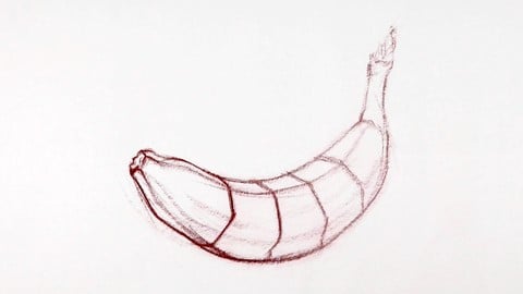 The Art & Science of Drawing / CONTOURS