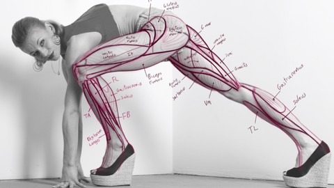 Anatomy 2.0 Draw the Figure From Imagination