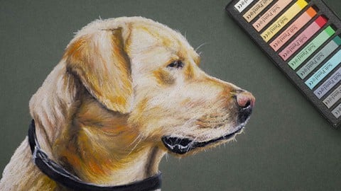 Animals with Pastels
