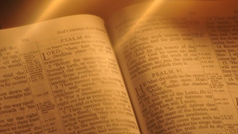 Whole Bible Survey: Part 1 (Old Testament)