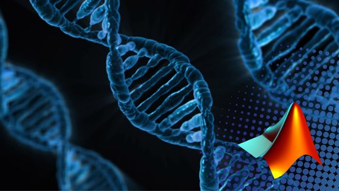 Optimization Using Genetic Algorithm in MATLAB