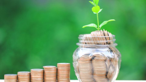 Mutual Fund Course: Beginners to Advanced Investing Course