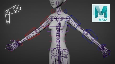 Rigging 101 for Video Games - Maya 2018