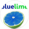 Bluelime Learning Solutions