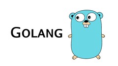 Beginners : Google's Go (golang) Programming Language