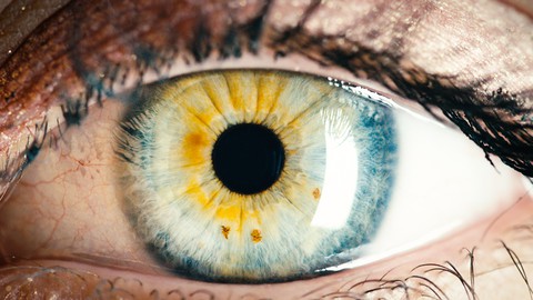 Creative Advertising & Graphic Design Theories for Beginners